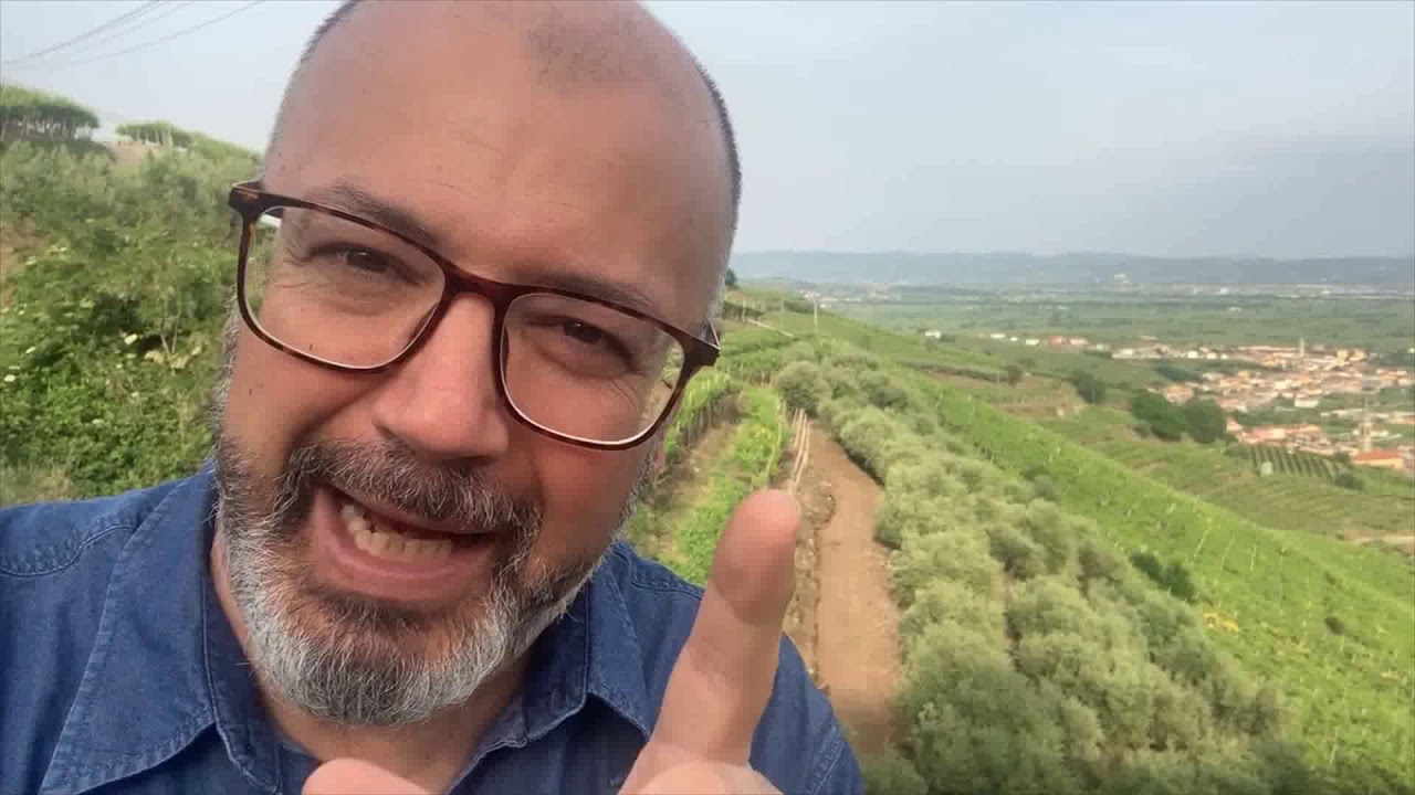 Emozioni Lungo la Strada del Vino Soave