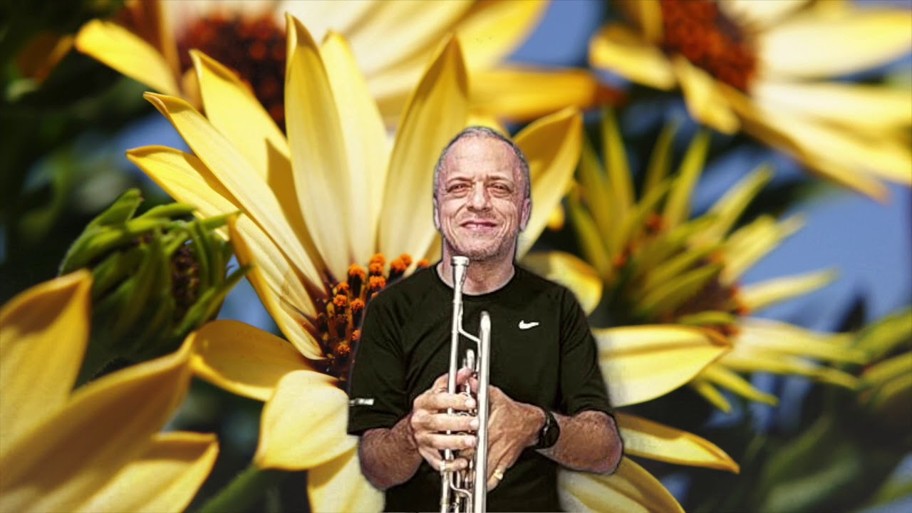 EXALTAÇÃO AO DEUS ONIPOTENTE - HINO 252.