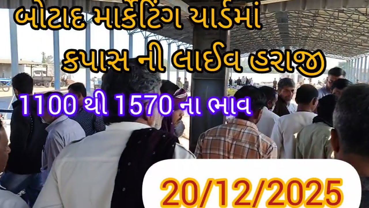 20/12/2025 કપાસ ની લાઈવ હરાજી બોટાદ માર્કેટિંગ યાર્ડ #cotton #farming #agriculture કપાસ ના ભાવ 