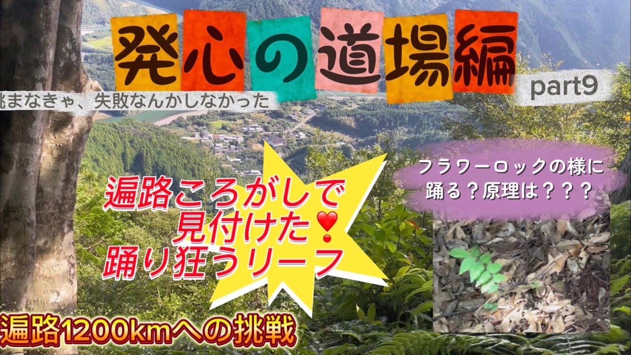 【歩くの苦手な人】が歩き遍路1200kmへの挑戦 part9