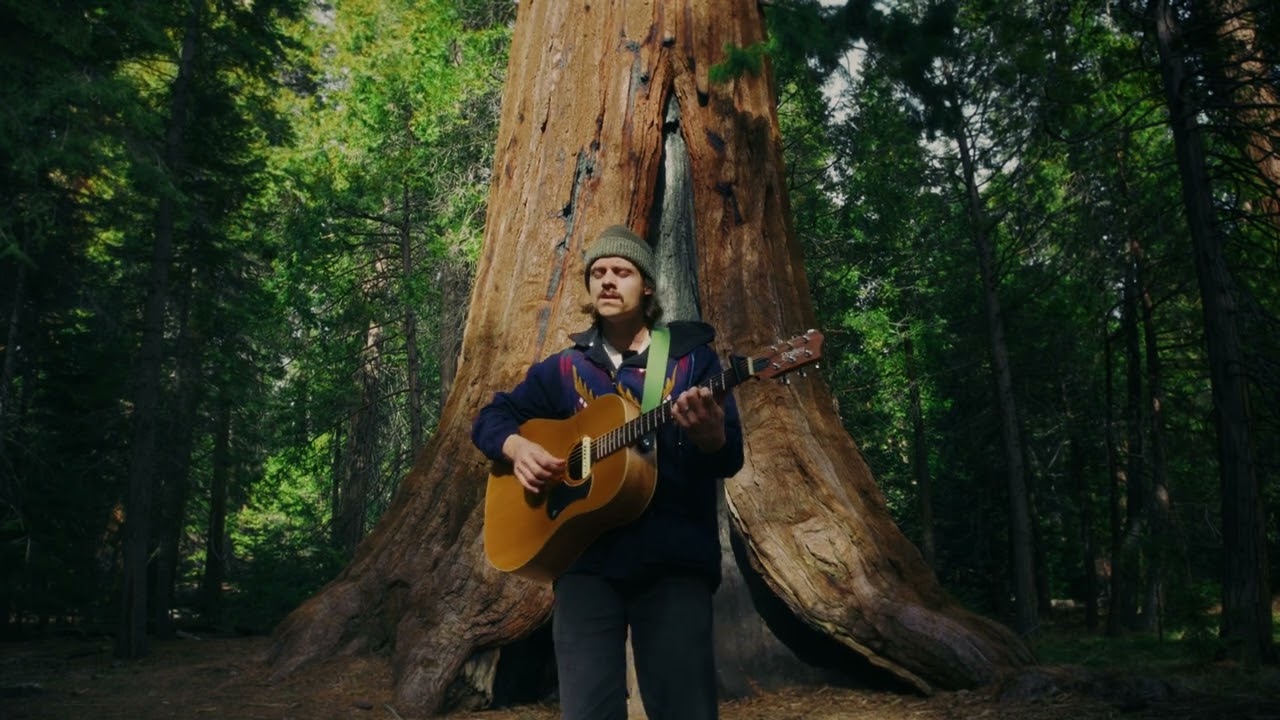 Tay Oskee - Sequoia (Lovers On The Mountain) | Live from the Sequoias