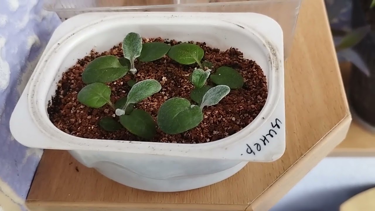Приятный сюрприз случился😍
