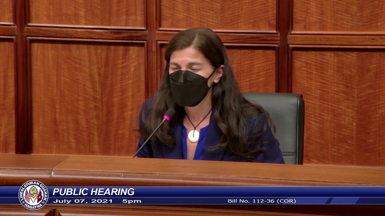 Hybrid Public Hearing - Speaker Therese M. Terlaje - July 7, 2021 5pm Pt.2