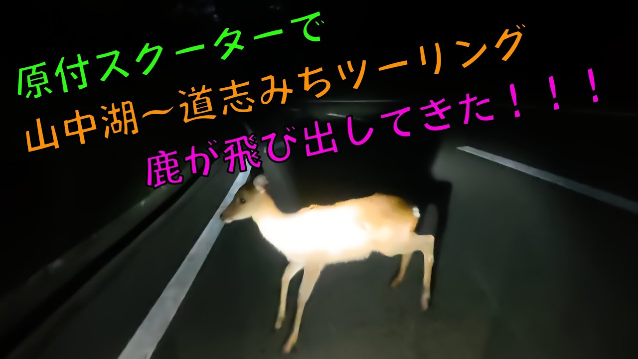 原付スクーターで山中湖～道志みちツーリング 前編