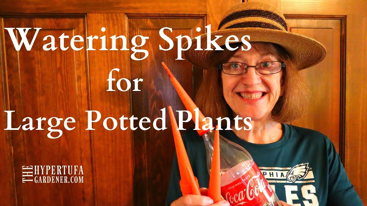 Watering Spikes for Deep Pots or Large Plants - How to Water Deeply & Even Water on Vacation!