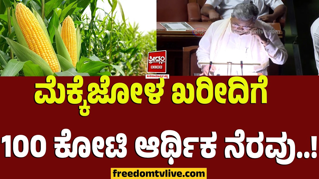 Siddu Budget 2026:ಮೆಕ್ಕೆಜೋಳ ಖರೀದಿಗೆ 100 ಕೋಟಿ ಆರ್ಥಿಕ ನೆರವು.. ಮೈಸೂರು & ಹುಬ್ಬಳ್ಳಿಯಲ್ಲಿ ವಾಣಿಜ್ಯ ಸಂಕೀರ್ಣ!