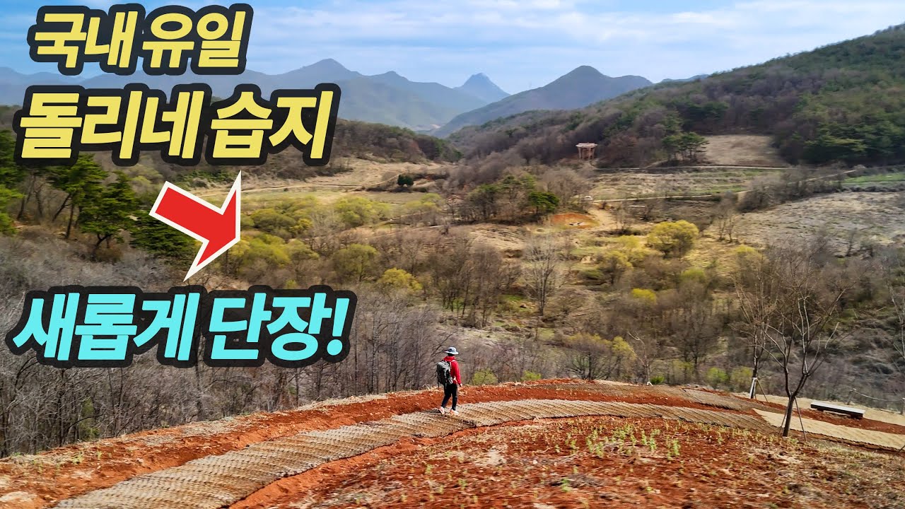 ✅국내 유일의 돌리네습지 개방! ✅봄에 꼭 걸어야하는 걷기 여행지!✅문경 찻사발 축제
