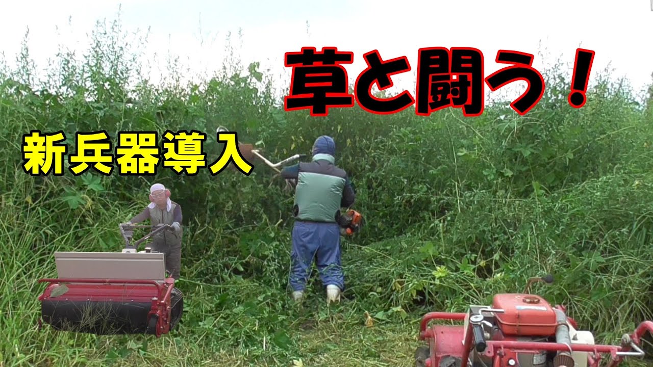 更地となった土地は巨大なジャングルになっていた③。遂に新兵器導入！ハンマーナイフは救世主になるか？＃刈馬王＃RX805C