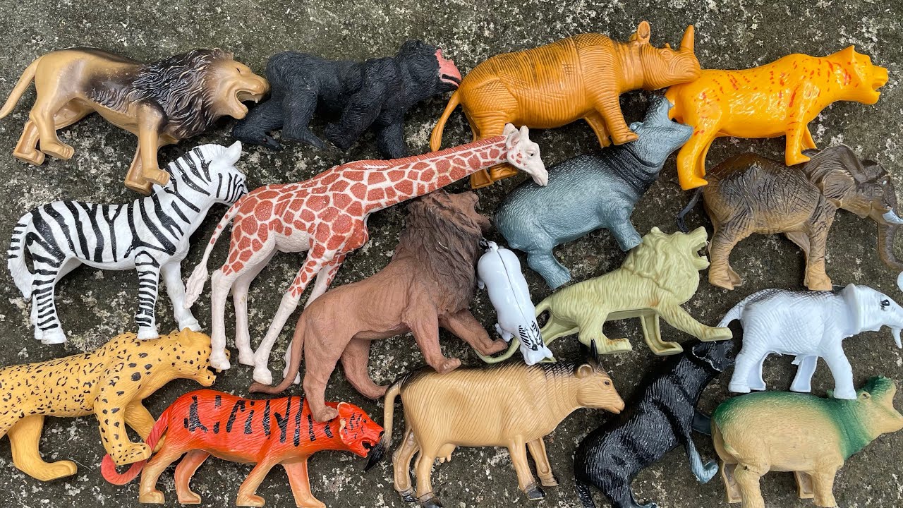 sapi,jerapah,badak,kudanil,gorilla,harimau,macan kumbang,harimau tutul,gajah,singa