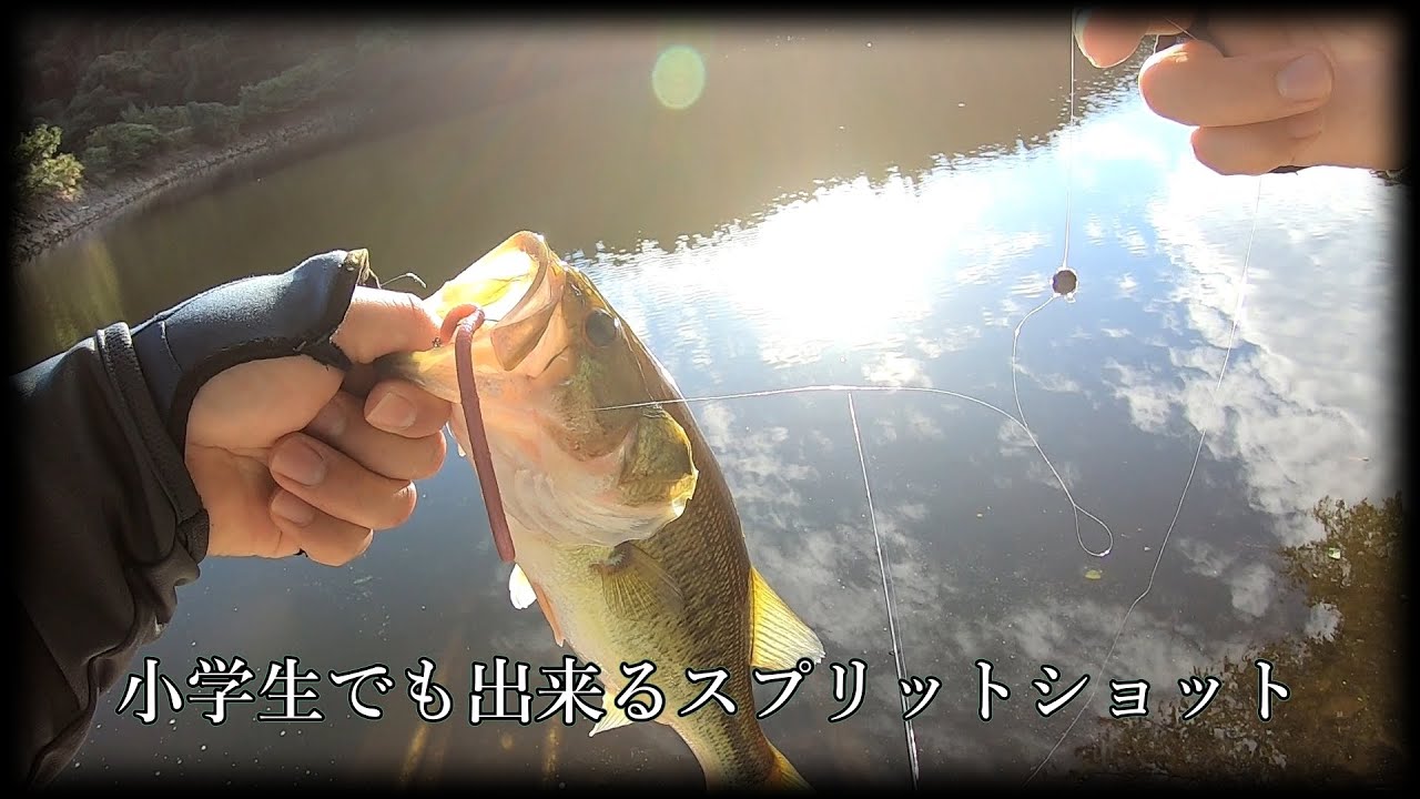【スプリットショットリグ】バス釣り何から始めるか？ これからです【アジャストレート】