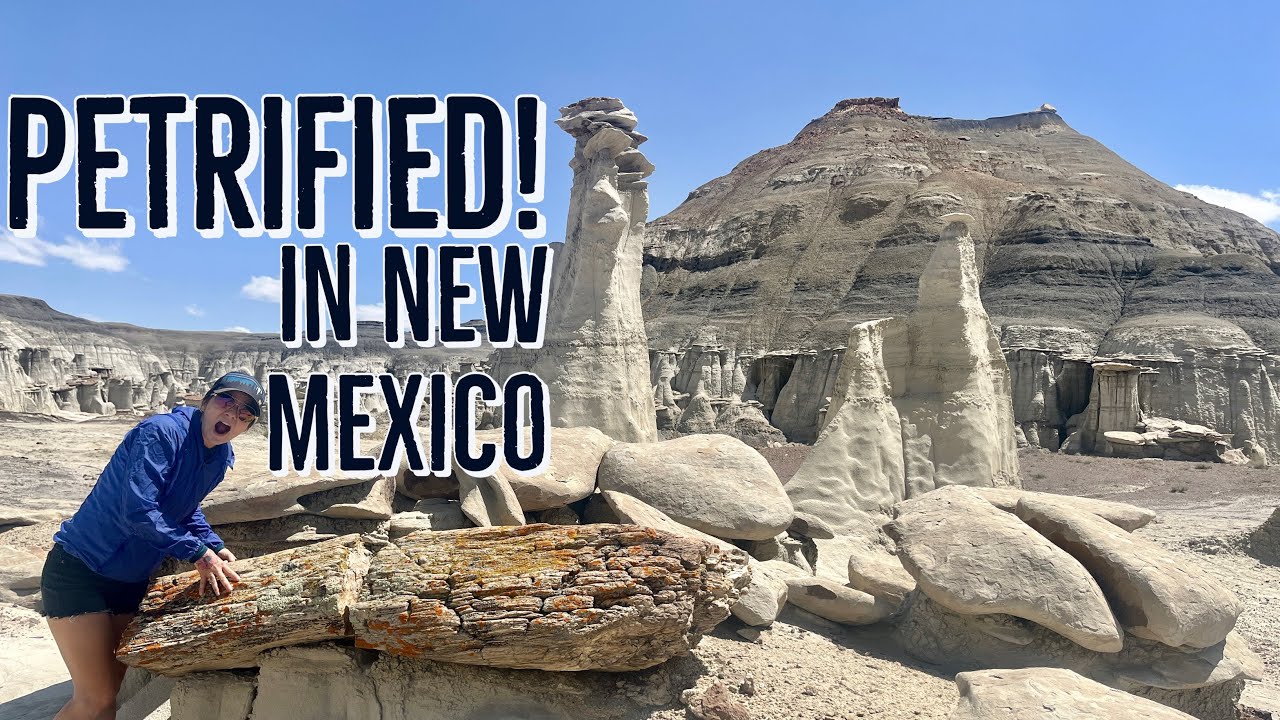 Uncovering the Mysteries of Bisti De-Na-Zin: A Wilderness Adventure in New Mexico
