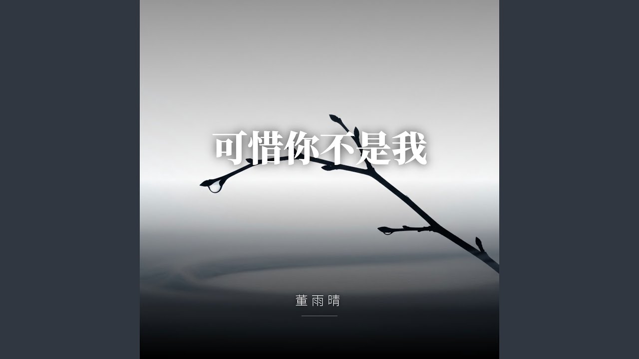 可惜你不是我