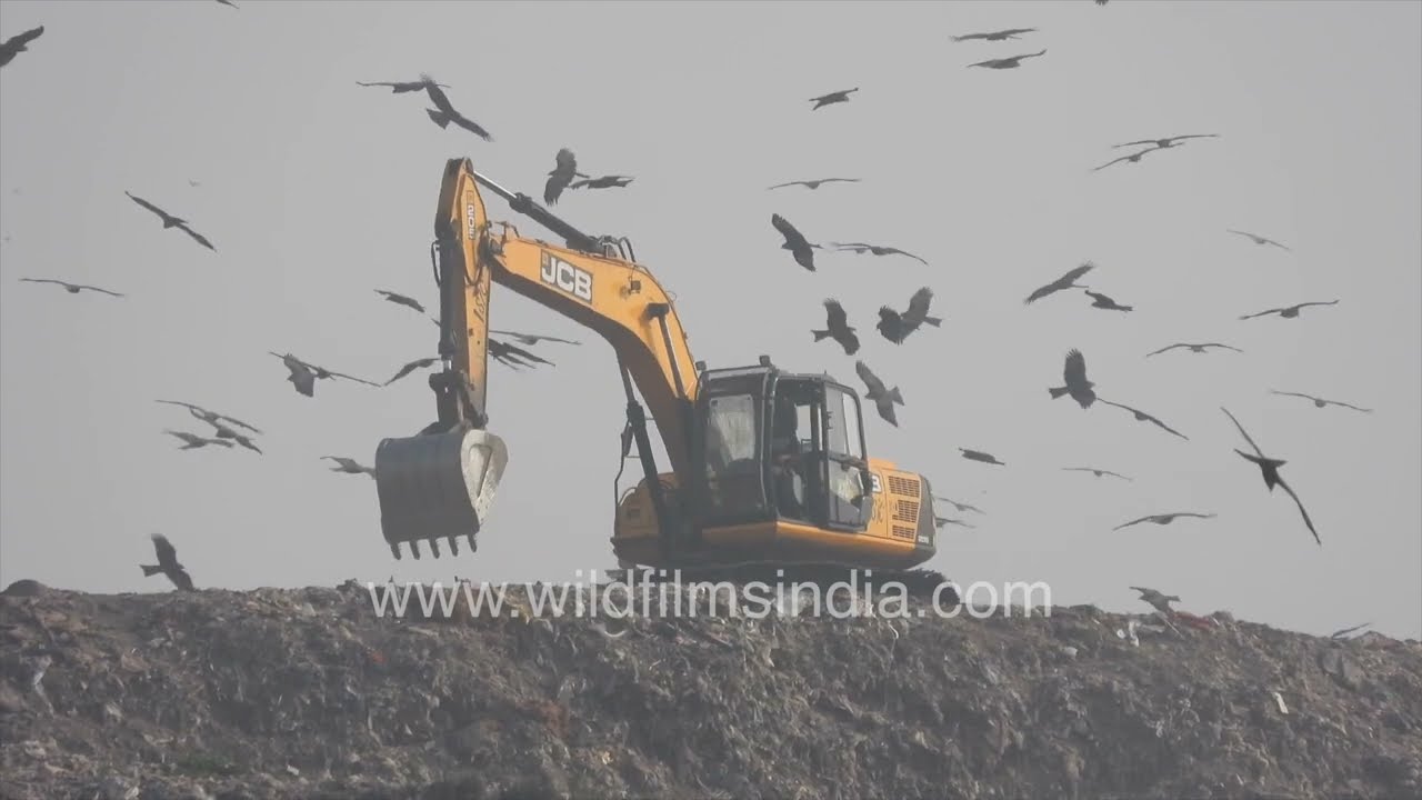 Traffic jam of dump trucks at Ghazipur landfill waiting to throw garbage