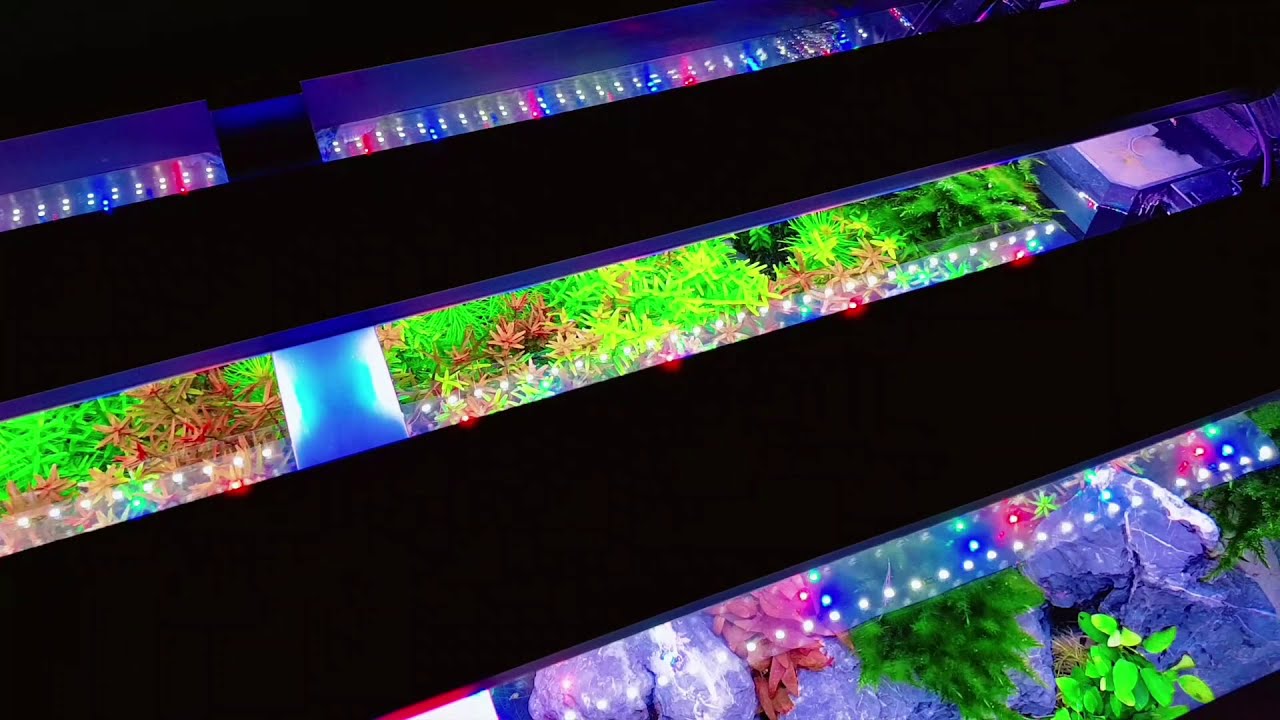 Juwel Rio 180 + 2x helialux spectrum WRGB + smartcontroll + splitter LED
