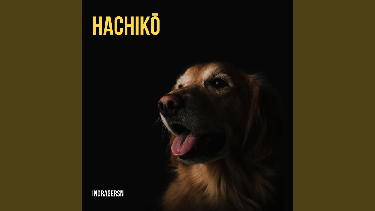 Hachiko
