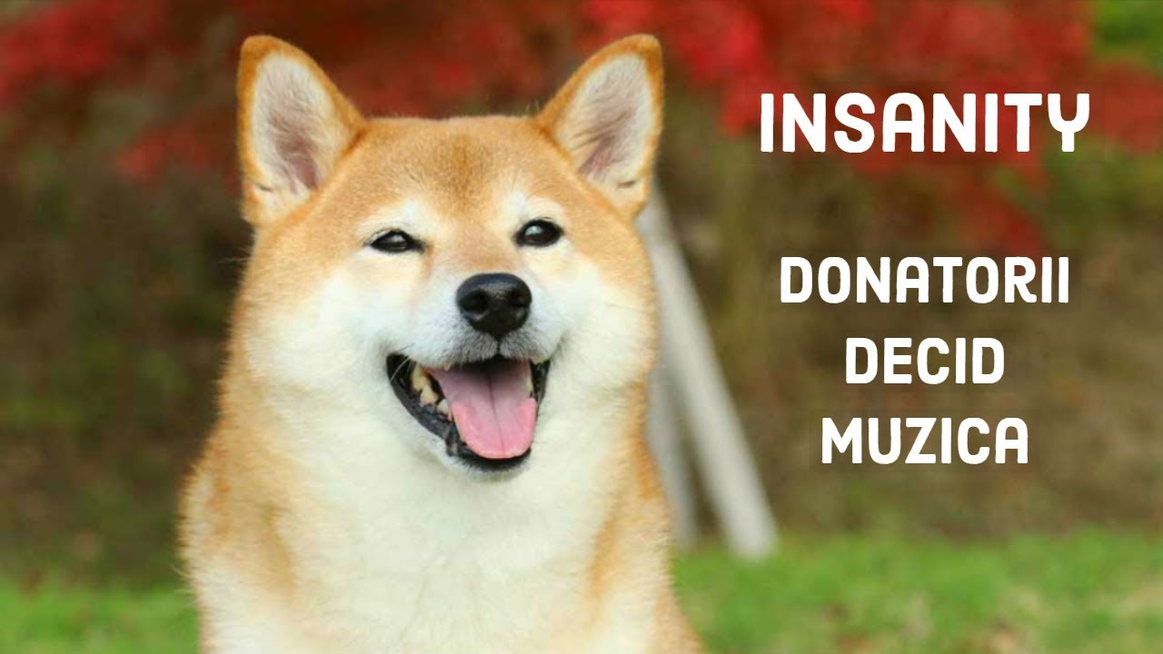 Insanity - Donatorii Decid Muzica Funny Moments