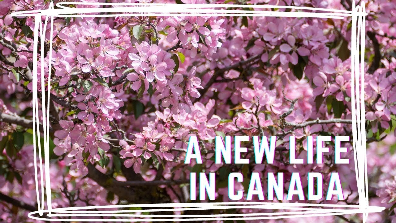 A New Life in Canada | 2023 | 多倫多 | Toronto