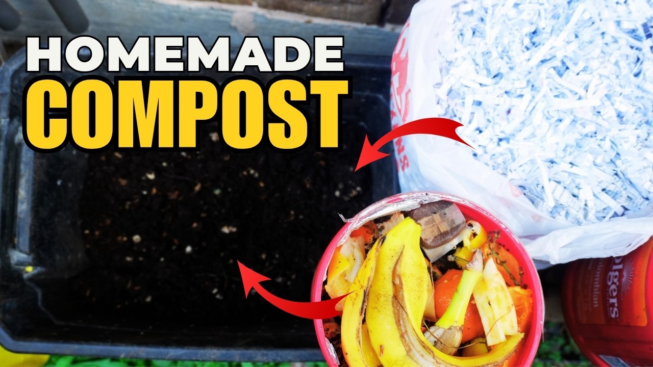 Composting 101: Turn Kitchen Scraps and Shredded Paper into Garden Gold