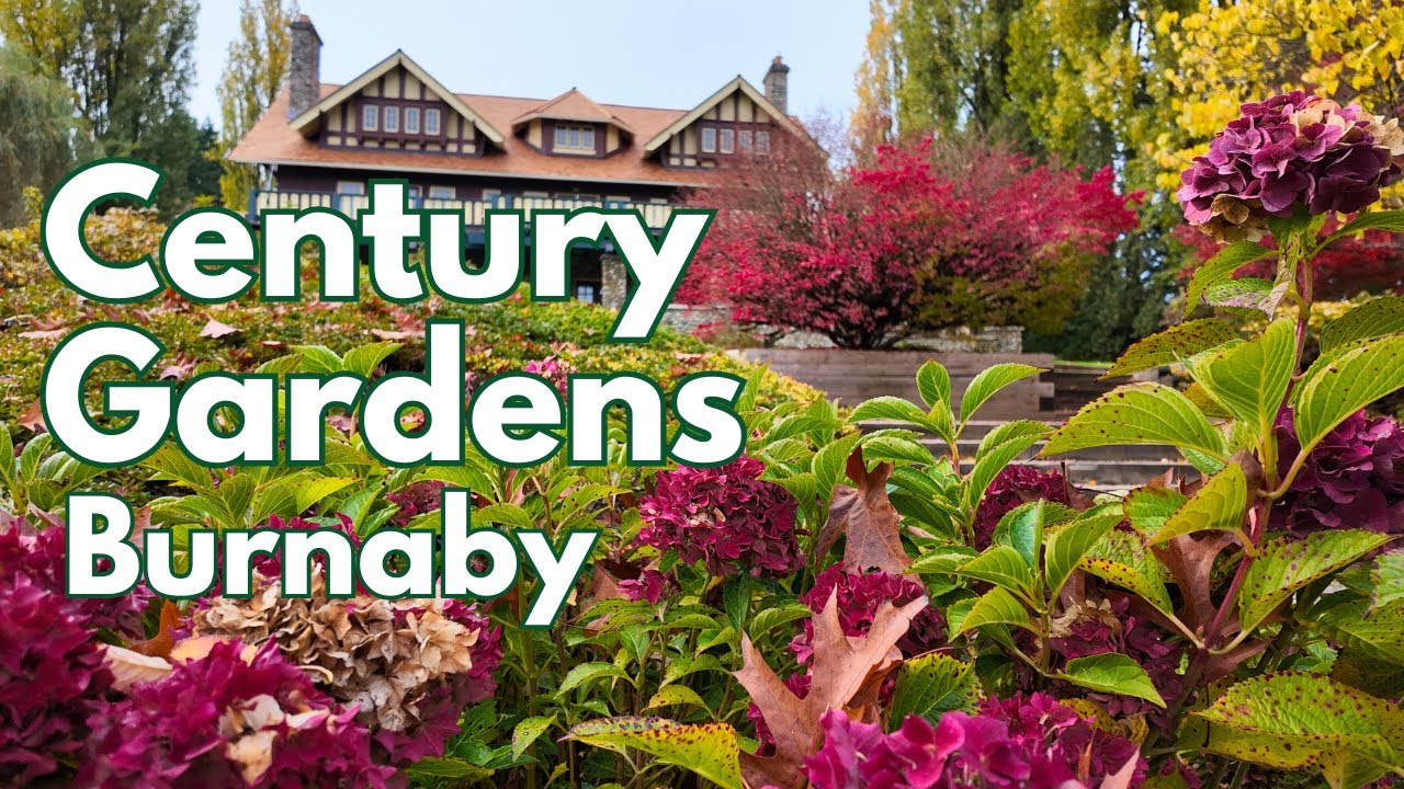 Exploring Burnaby's Century Gardens | Stunning Autumn Walk in British Columbia