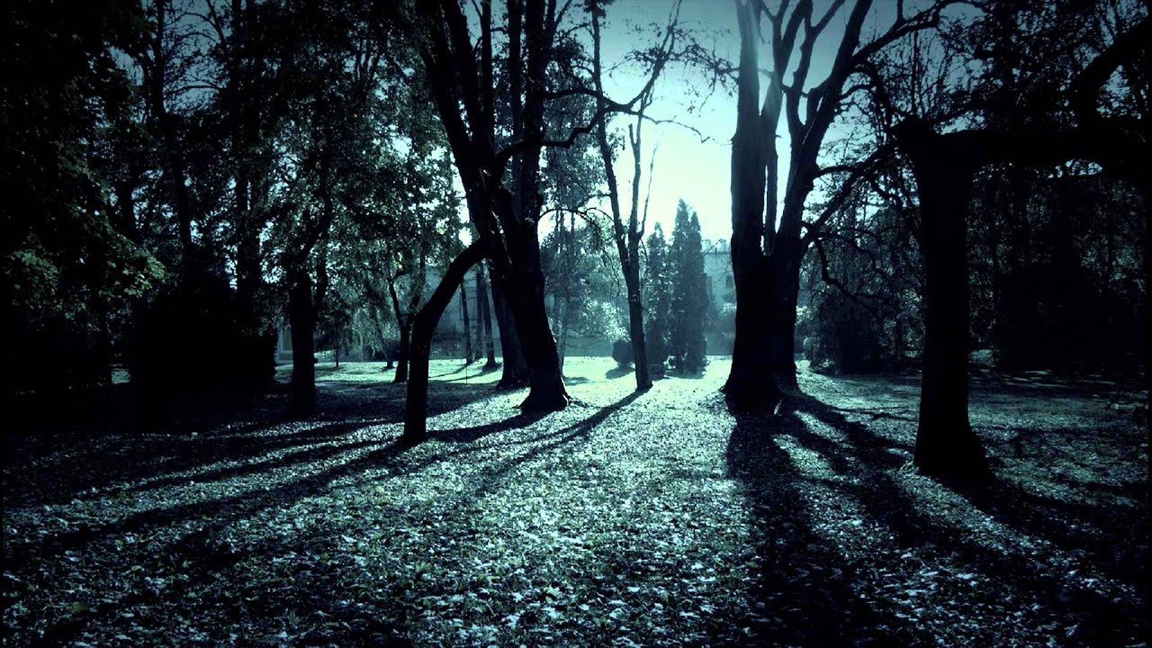 Li-Polymer - Shadows (Original Mix)