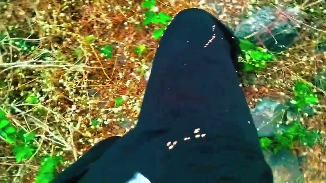 રાયડો ખેતી🌾👳🌾👳