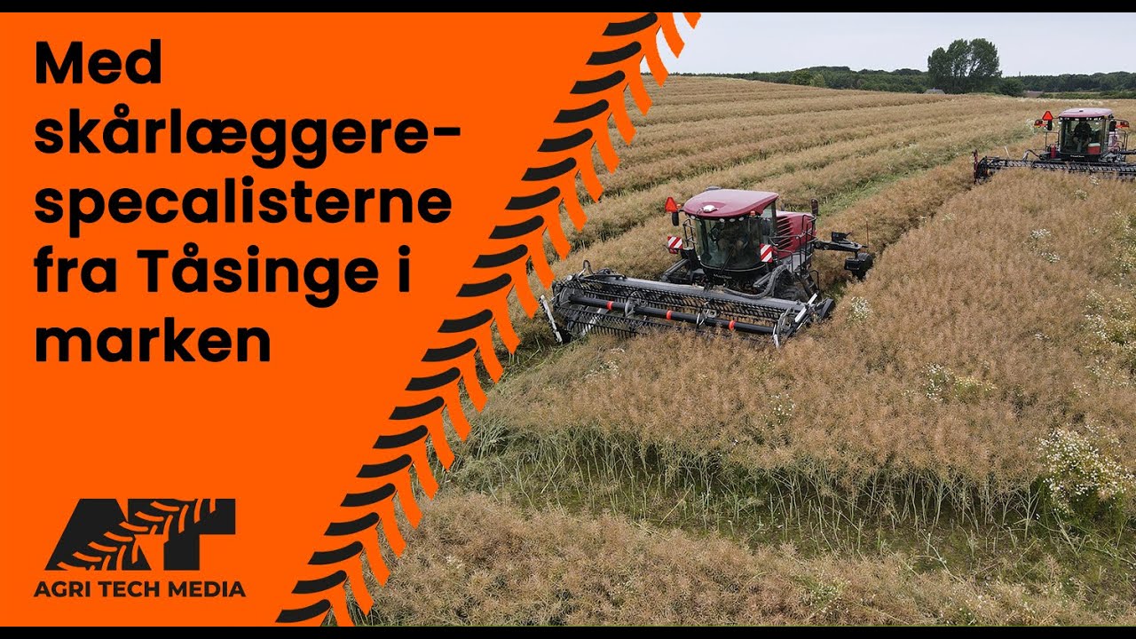 🇩🇰 Med skårlægger-specialisterne fra Tåsinge i marken