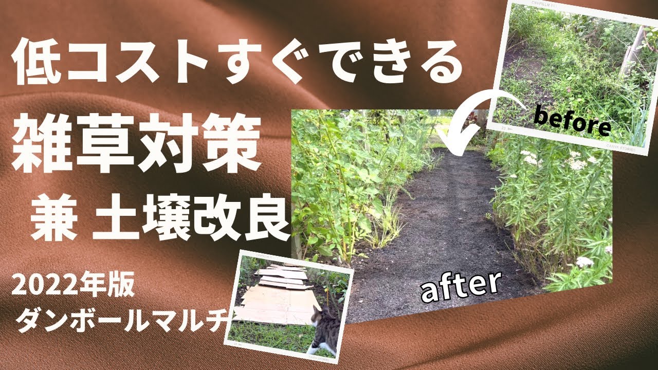 《最短！段ボールで雑草対策！》お金をかけずに手早く簡単に雑草を抑える方法／より簡単で効果的にアップデート！2022年版¥／ダンボールマルチ
