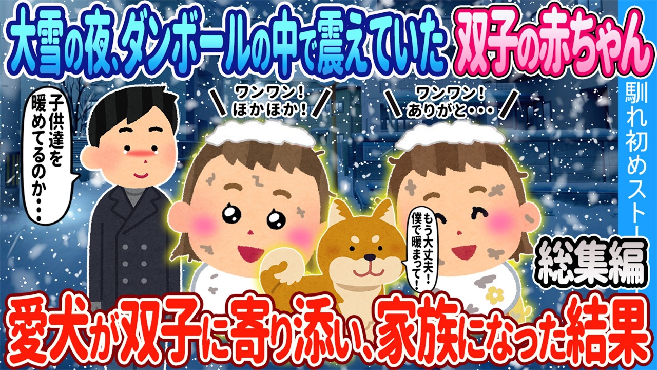 【2ch馴れ初め総集編】大雪の夜、ダンボールの中で震えていた双子の赤ちゃん → 愛犬が双子に寄り添い、家族になった結果2ch可愛い子供の馴れ初め人気馴れ初め動画【作業用】【睡眠用】【ゆっくり】