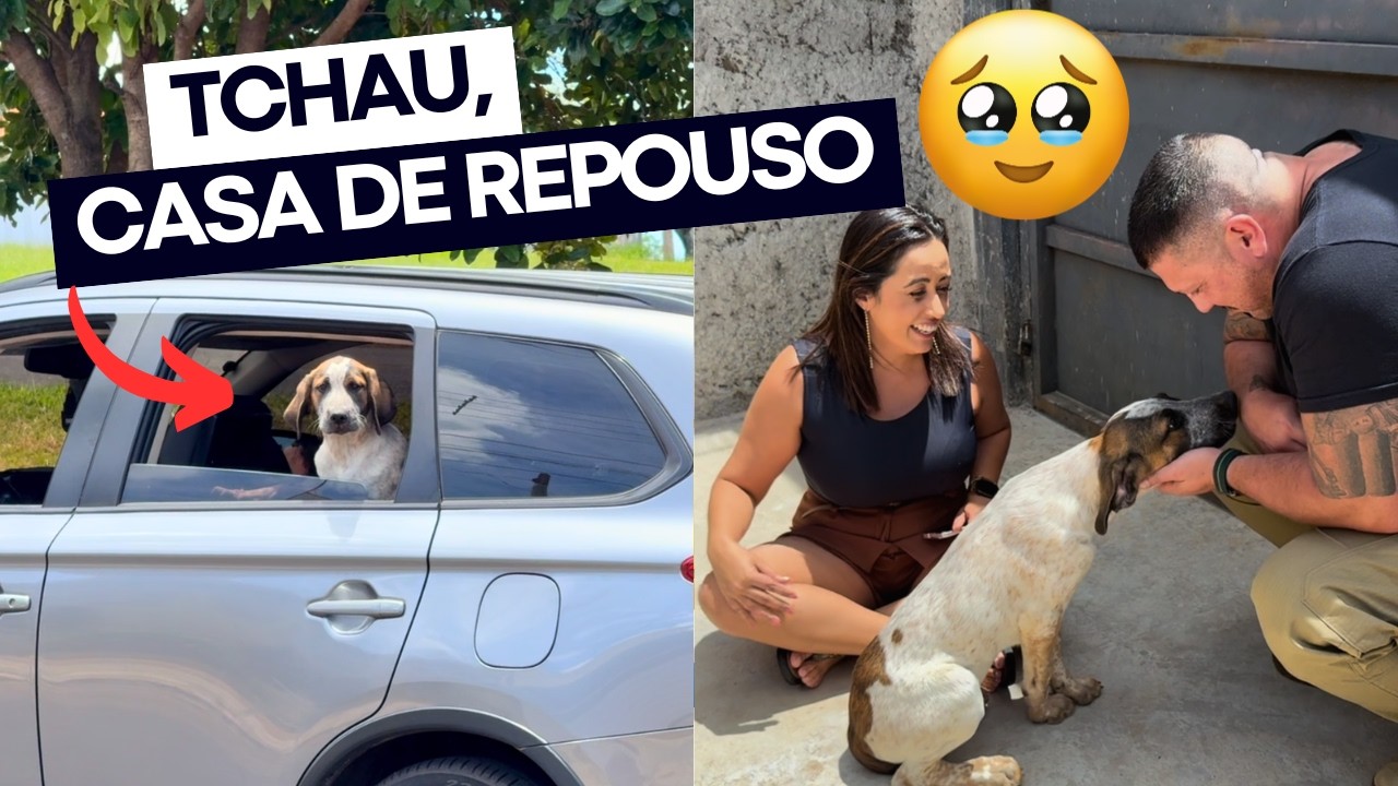 O BENGALI FINALMENTE FOI ADOTADO 😍🤍 
