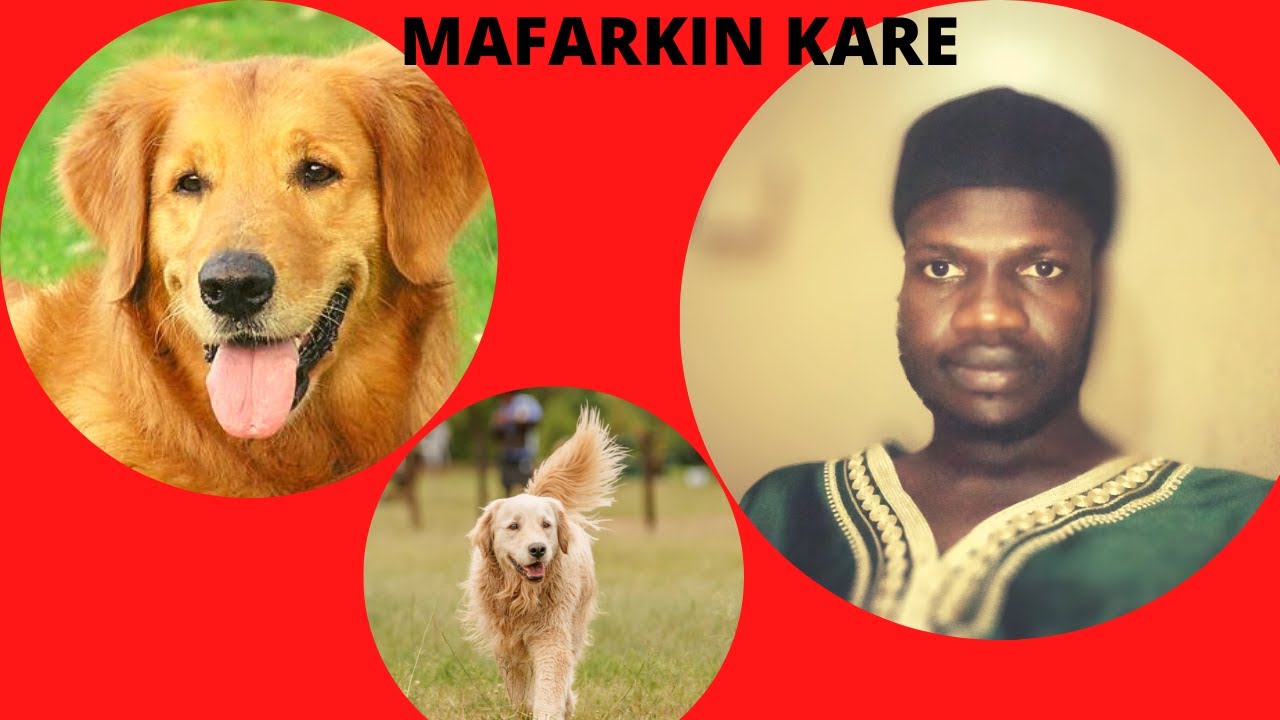MAFARKIN KARE