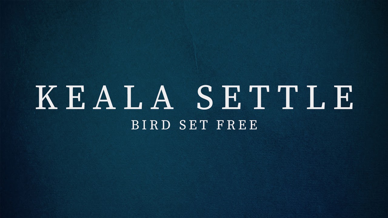 Keala Settle - Bird Set Free (Sia Cover)