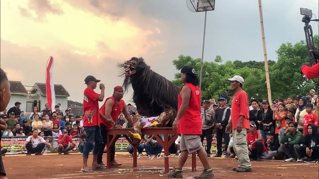MACAN MACANAN JARANAN MUNCUL BUDOYO at KERTOSARI - BANYUWANGI
