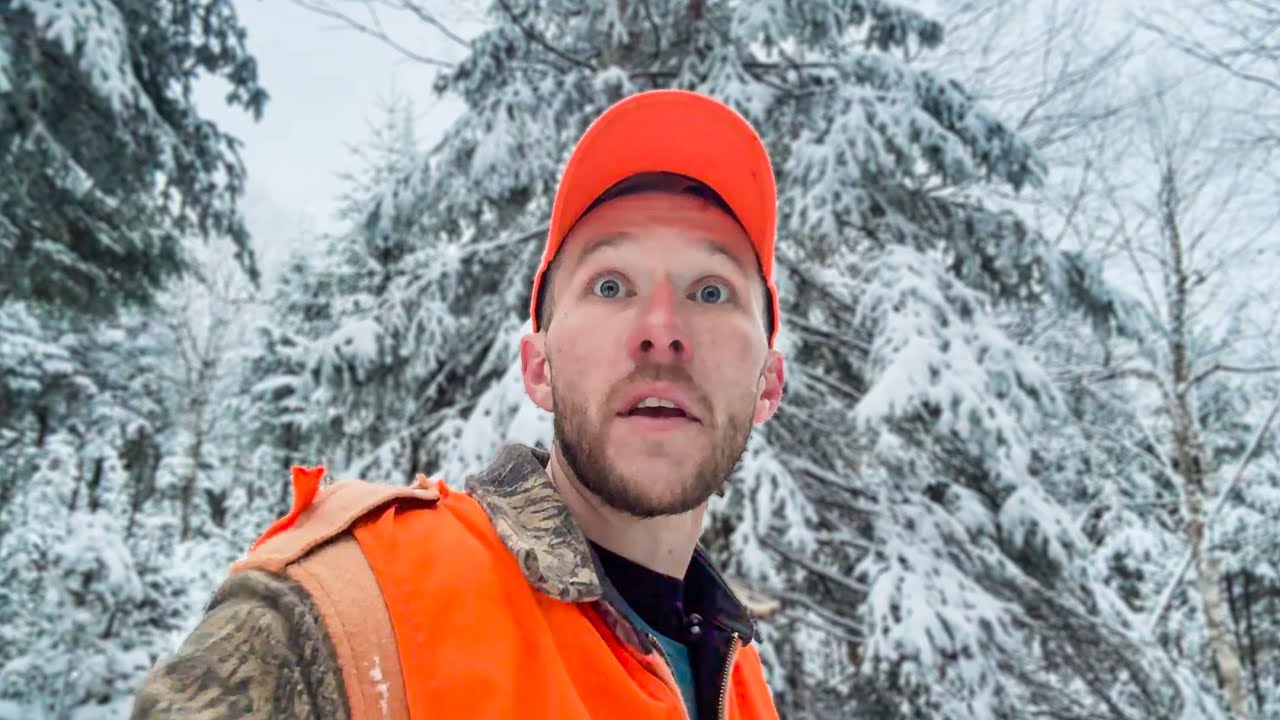 Лось умеет рычать?!?