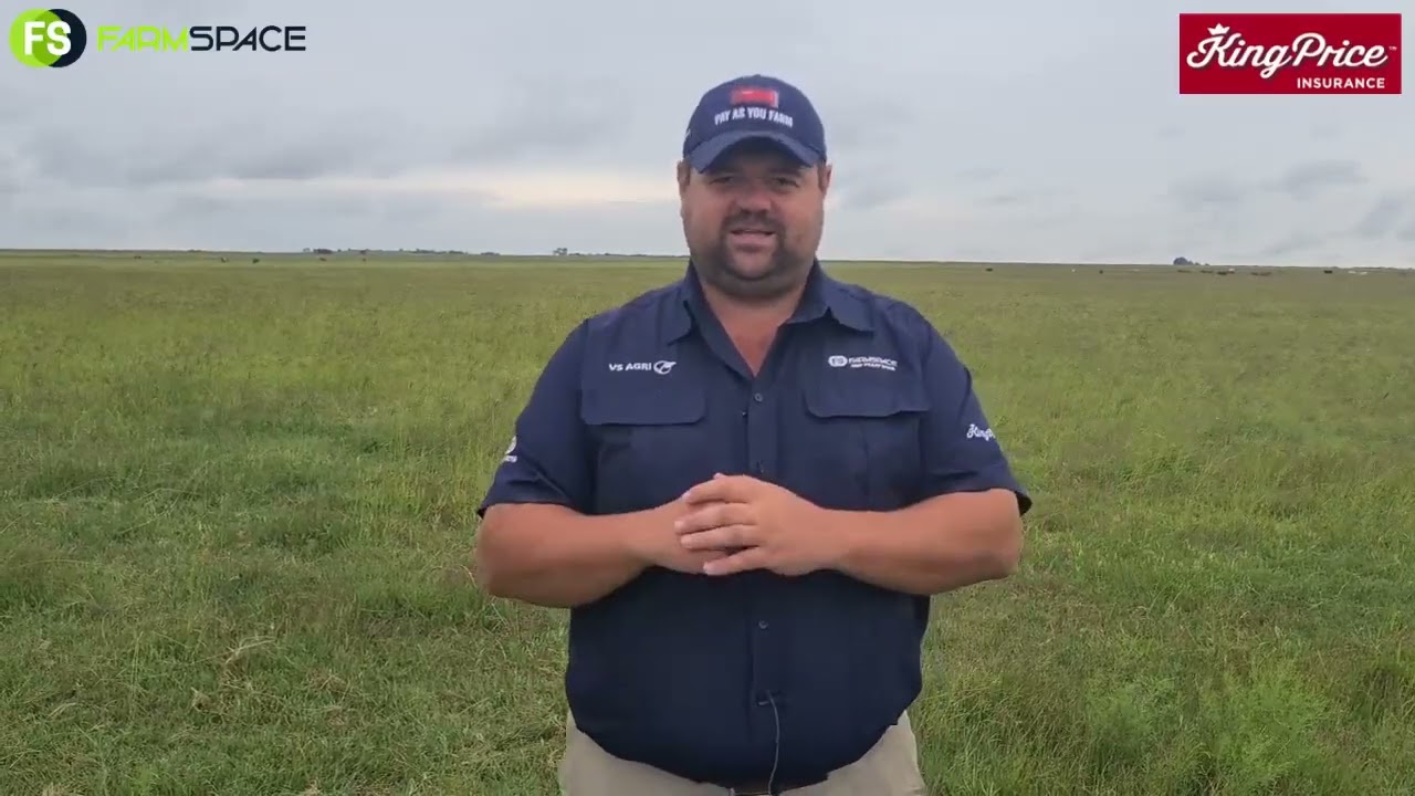 Die King Price PayAsYouFarm Hay Day & Baler Challenge 9 Februarie 2022