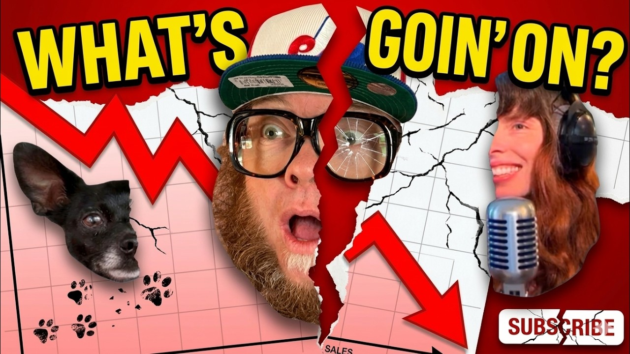 Our eBay Sales DROPPED by over 300%.  The END of Reselling!