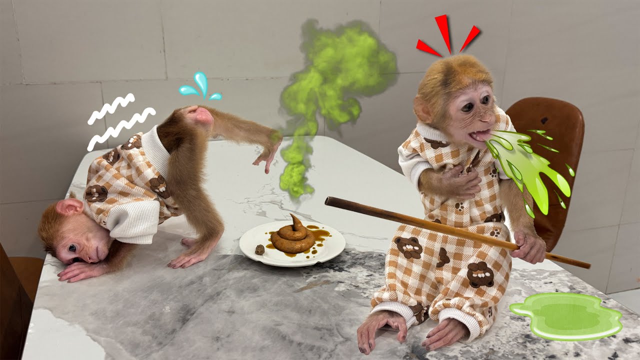 Lucky freaks out when she sees Sunny’s plate full of 