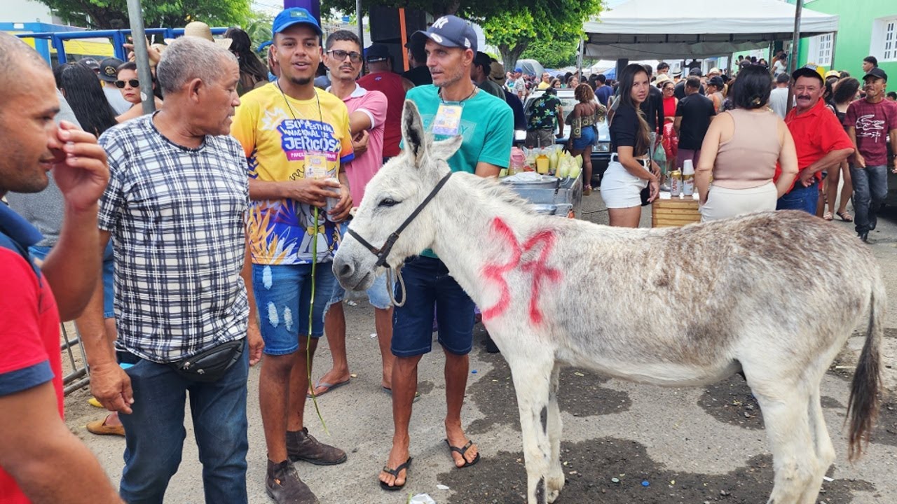 CORRIDA DE JEGUE EM PANELAS-PE   (1º DE MAIO\2024)