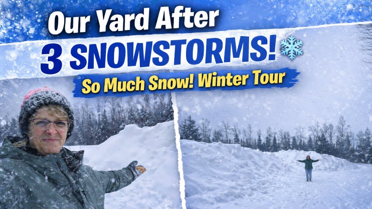 You Won't Believe This Snow! Yard Tour After 3 Winter Storms
