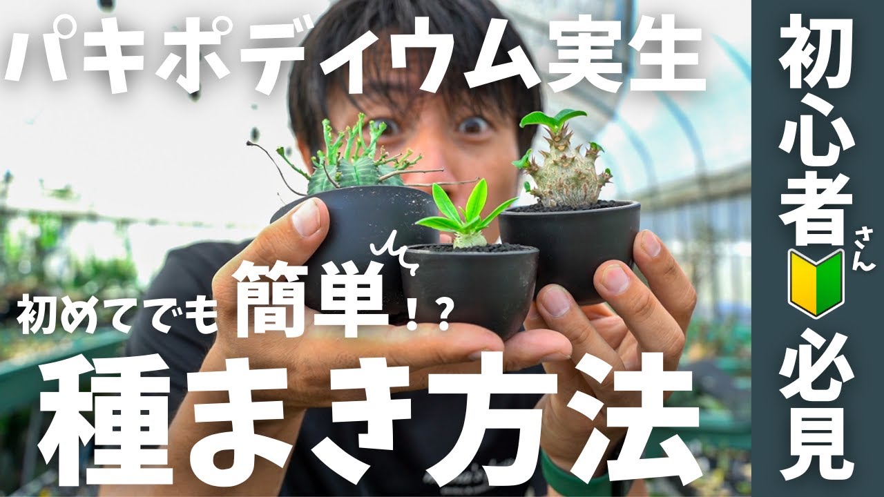 これでパキポの種まきも安心！