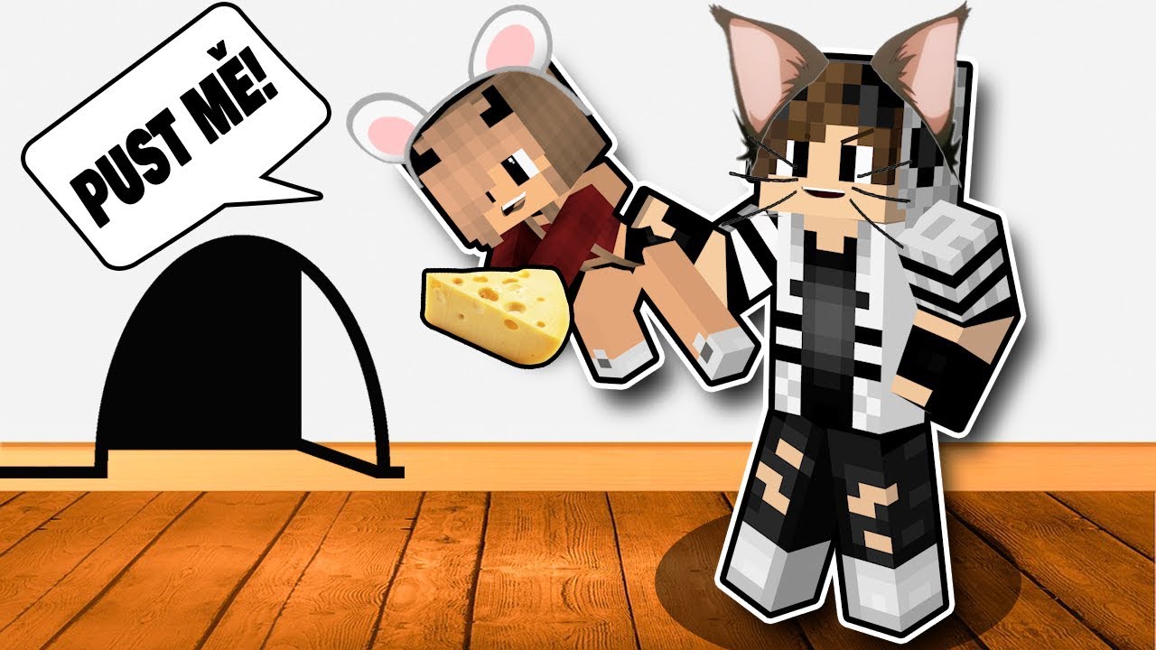 SCHOVKA ALE MY&Scaron; JE KOČKA A ŽADN&Yacute; PES ANI NEBYL 🐭