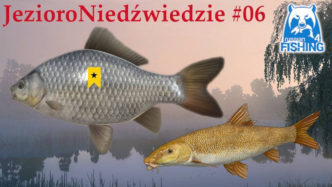 Russian Fishing 4 - Karaś Srebrzysty + Okaz Active spot Jezioro Niedźwiedzie | Bear Lake #06