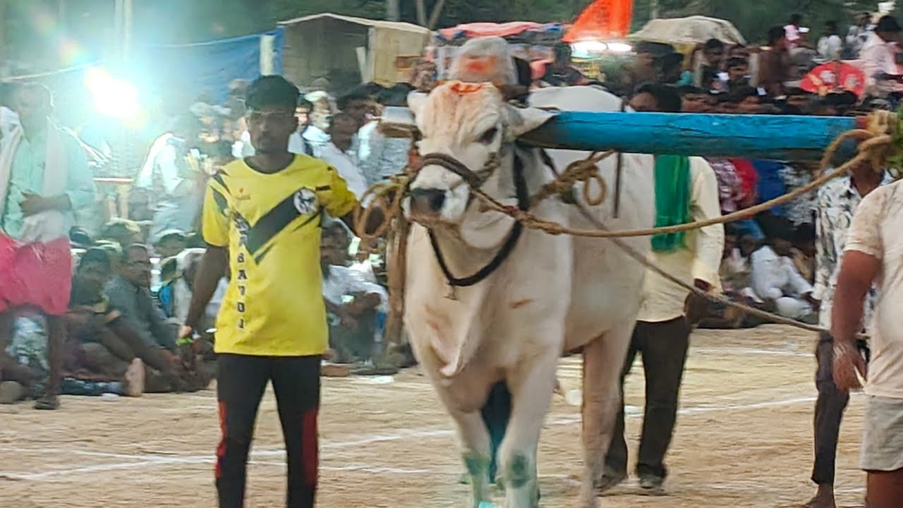 యాడికి గ్రామం సీనియర్స్ విభాగానికి 7వ జత నాగయ్య గారు PR పల్లి నంద్యాల జిల్లా