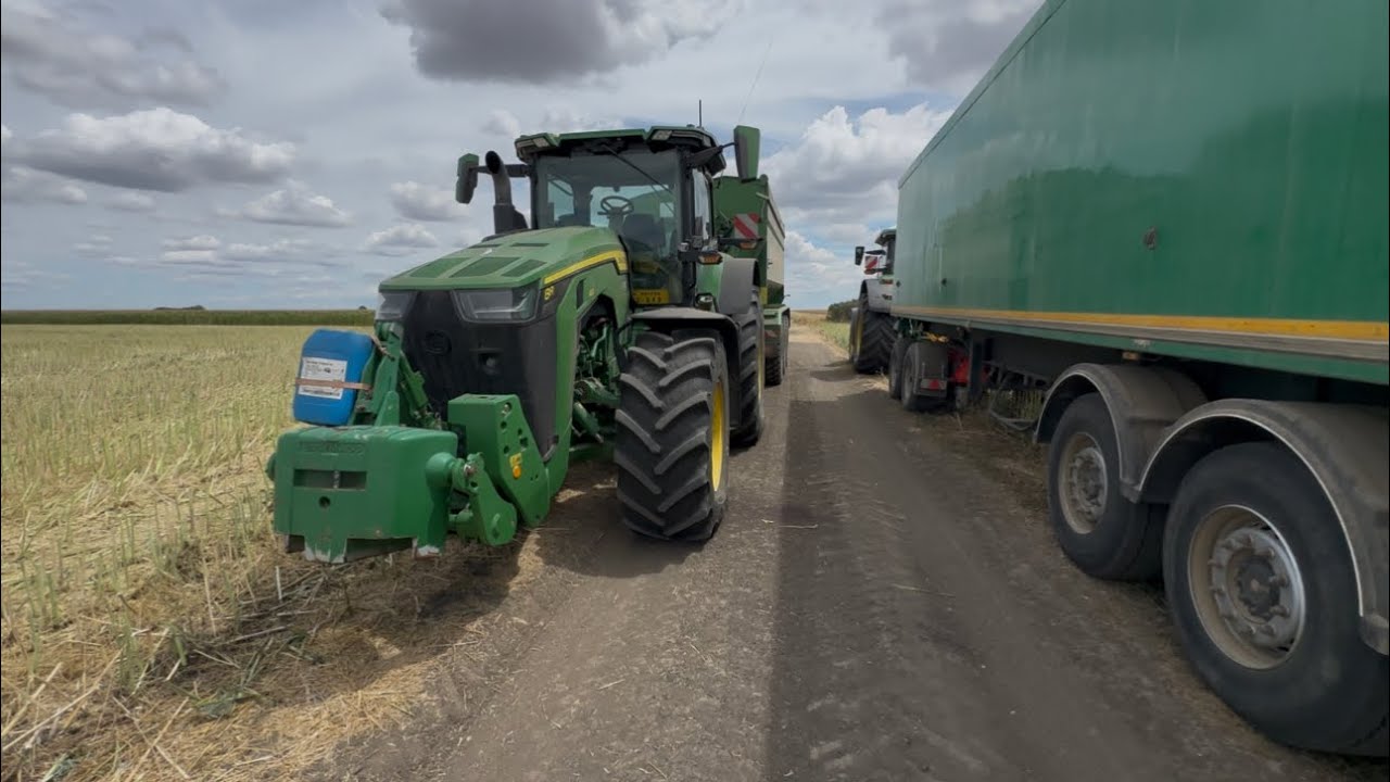 7 Tons of Rapeseed per Hectare 😮&zwj;💨 | Romania 🇷🇴 #91 |