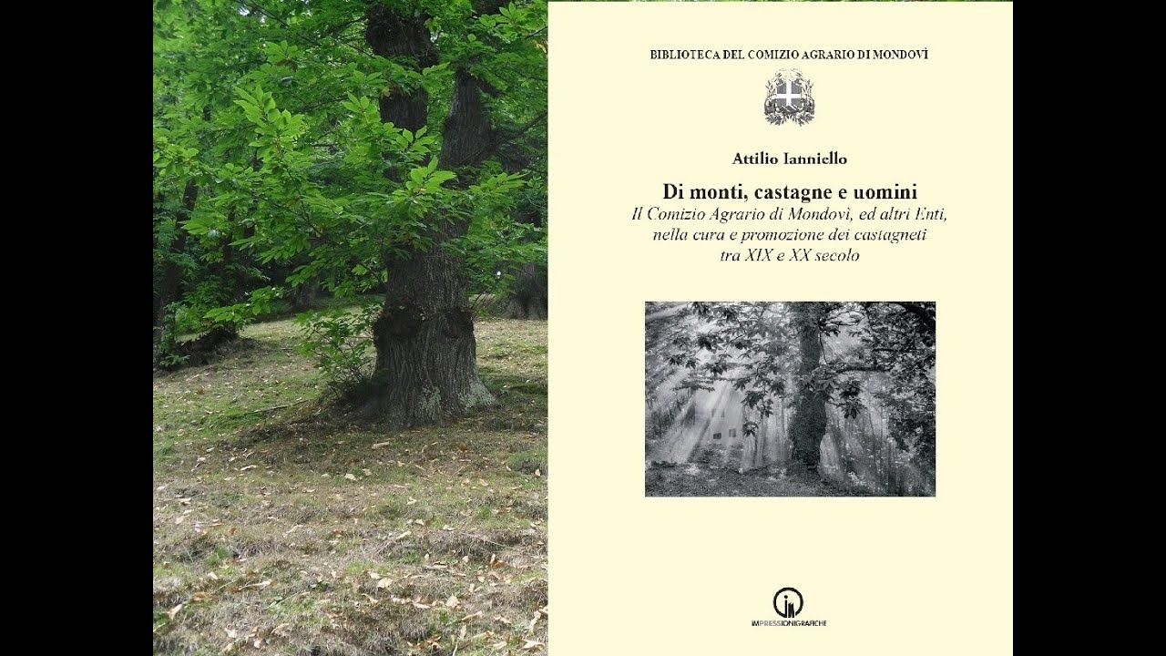 Prsentazione del libro 