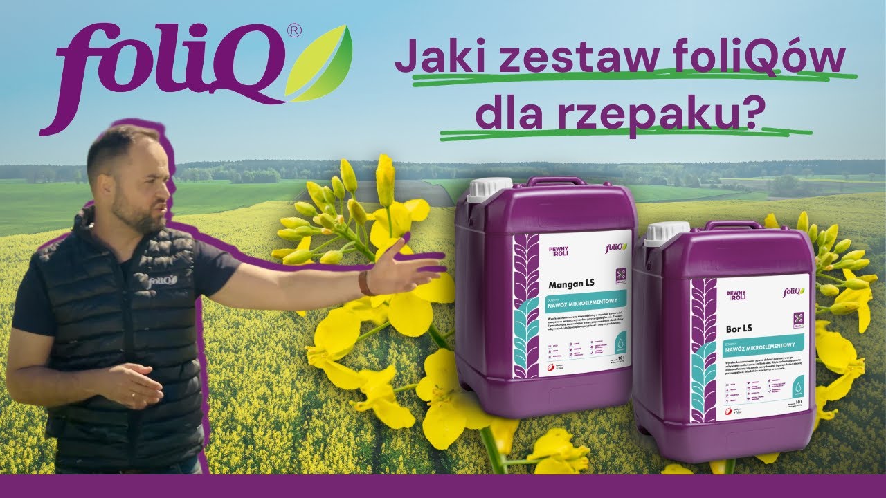 foliQ w praktyce | Galiny
