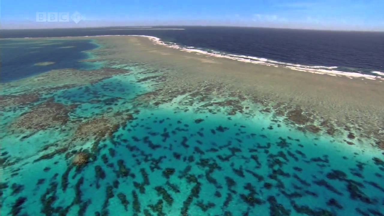 Wonderful Chill Out Music The Ocean [HD] BBC