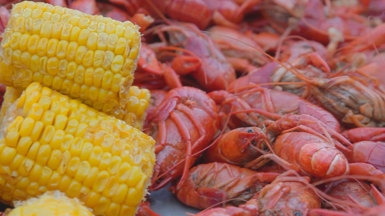 Raw Travel 605 Trailer - Southern Louisiana's Acadiana