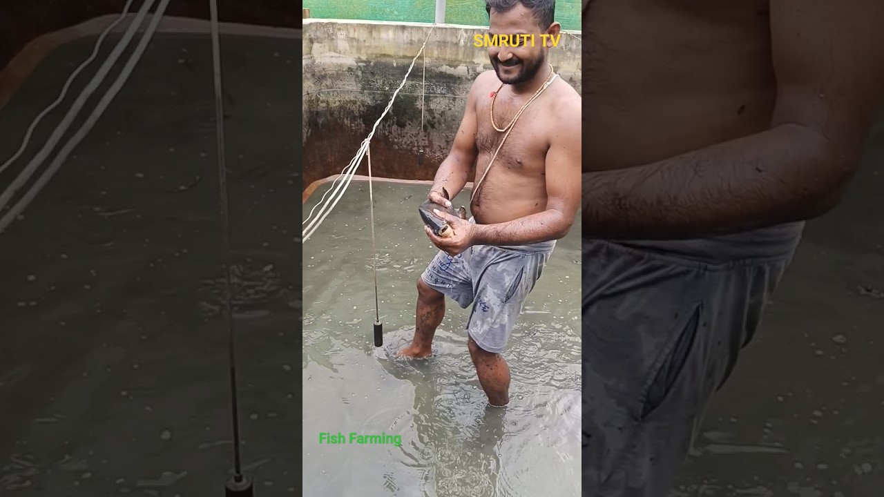Biofloc Farming/Binod Agrovet Farming/Sahu babu video/Fish/Fish farming/Smruti Tv/SMRUTI/Biofloc
