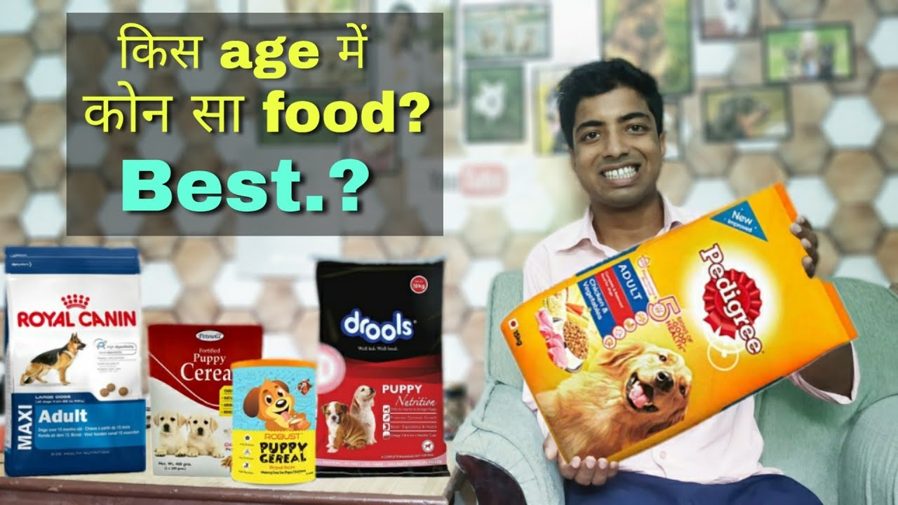Which food you should give to Puppy and dog between || 3 month || 6 month || 12 months onwards