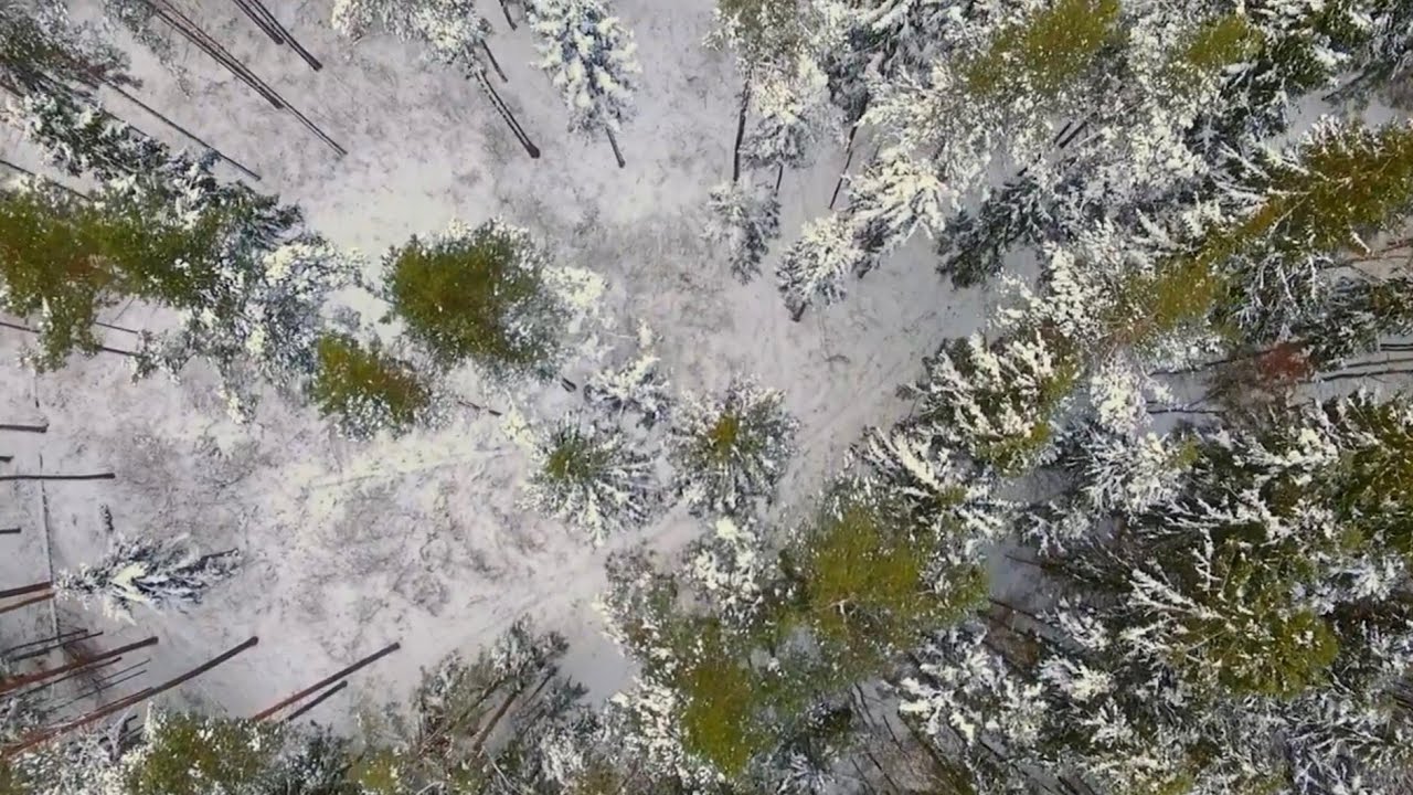 Alise Kļaviņa - Esi stipra, Latvija, viss izdosies!